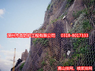 落石防護(hù)網(wǎng)